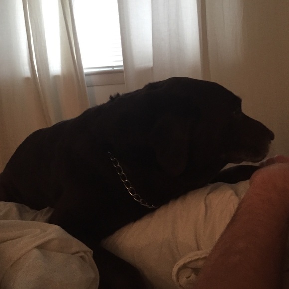 Meet your Posher, Jessica - Picture 1 of 1